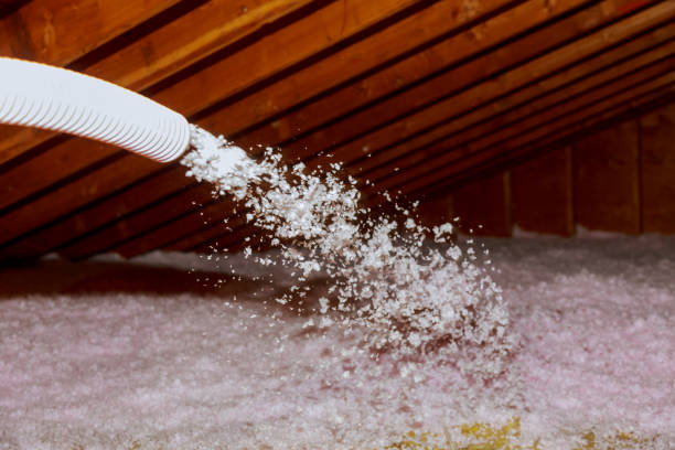 Best Spray Foam Insulation in Horizon West, FL