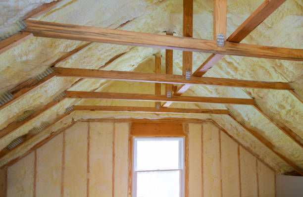 Trusted Horizon West, FL Insulation Contractor Experts
