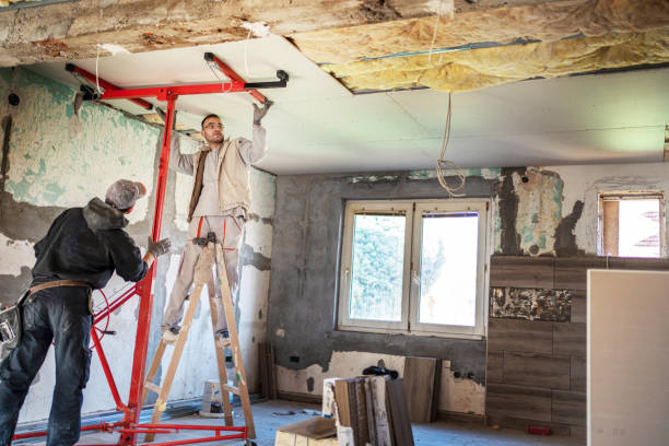 Trusted Horizon West, FL Insulation Contractor Experts