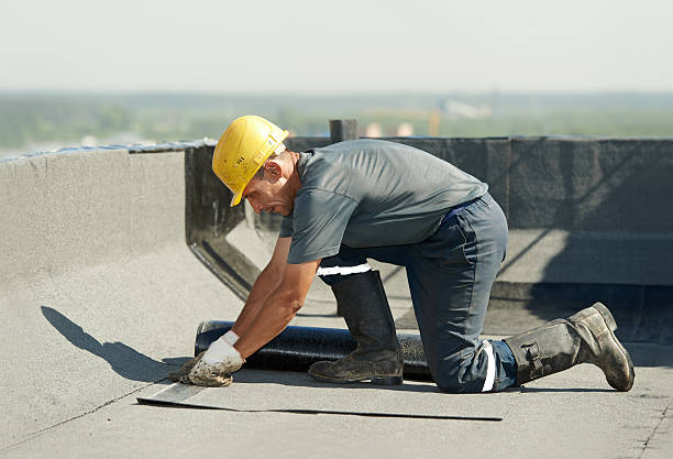 Best Commercial Insulation in Horizon West, FL