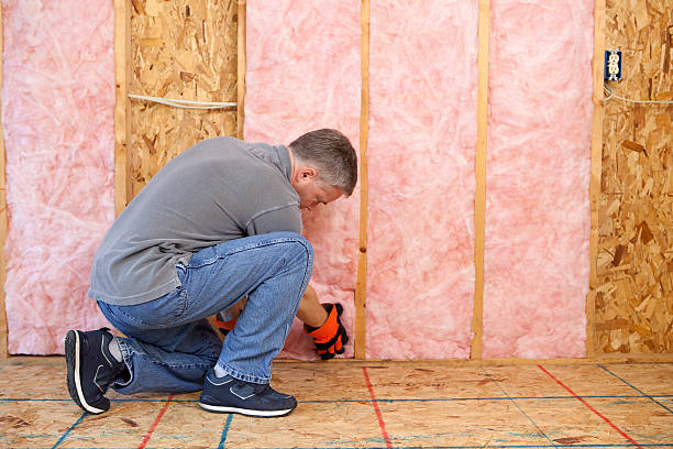 Types of Insulation We Offer in Horizon West, FL