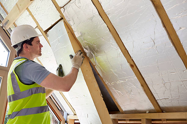 Best Energy Efficiency Insulation in Horizon West, FL