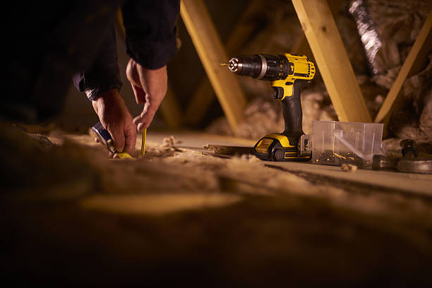 Best Cellulose Insulation in Horizon West, FL