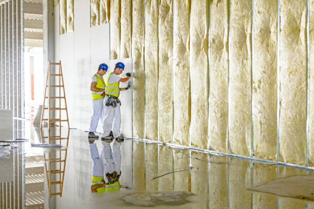 Best Insulation for Specific Applications in Horizon West, FL